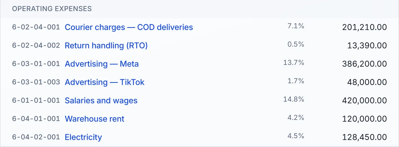 Operating expenses in the demo store: courier charges, return handling, Meta and TikTok advertising, salaries, warehouse rent and electricity